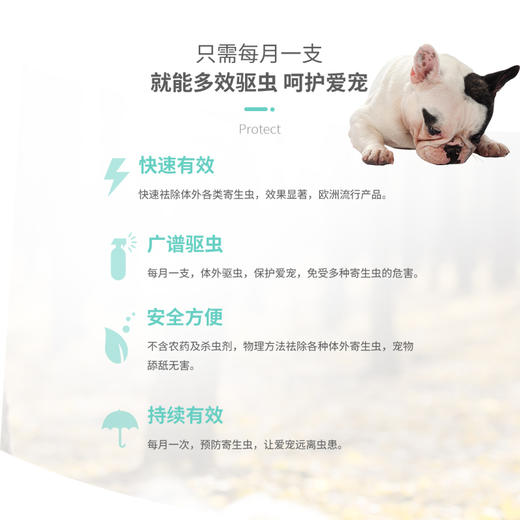 🇪🇸西班牙NBP 犬猫通用 草本精油 商品图7