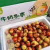 【妙脆牛奶冬枣】3斤装，精品果，绿色食品，出口品质 商品缩略图4