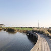 河北唐山曹妃甸湿地高尔夫俱乐部 Hebei Tangshan Caofeidian Shidi Golf Club|  唐山高尔夫球场 俱乐部 | 河北 | 中国 商品缩略图0