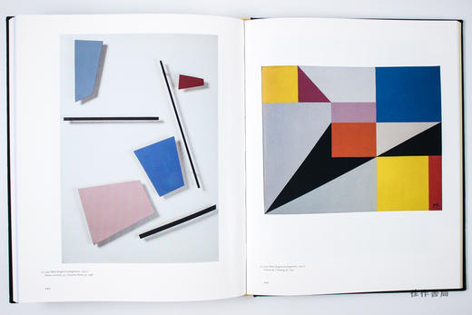 Geometric Abstraction: Latin American Art from the Patricia Phelps de Cisneros Collection 几何抽象：拉丁美洲艺 商品图5