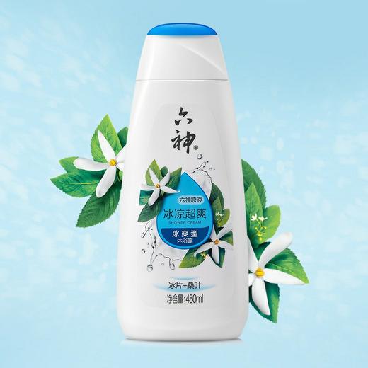 六神原液沐浴露系列 450ml/瓶 商品图3