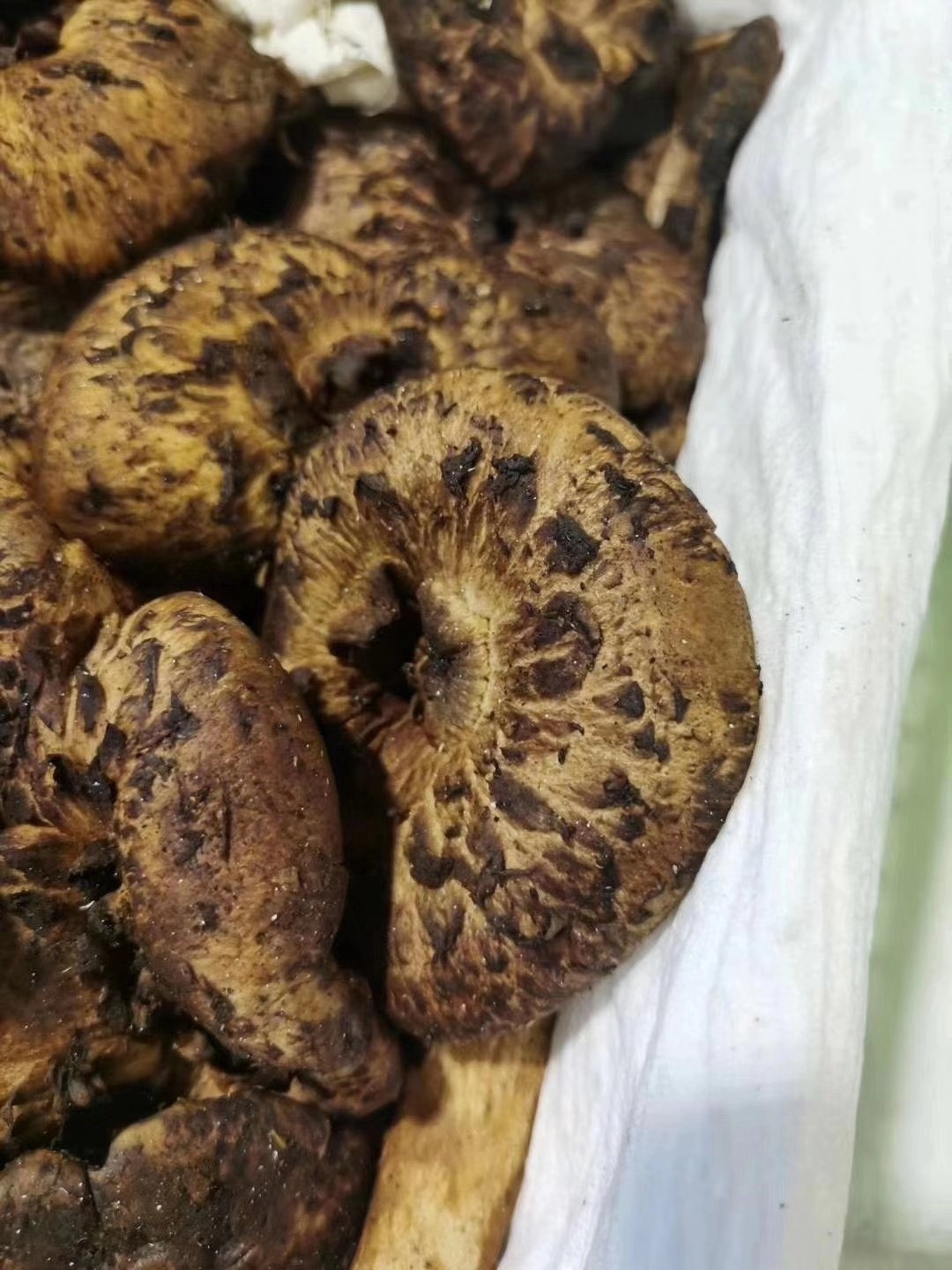 野生新鲜黑虎掌菌2斤 全国顺丰包邮