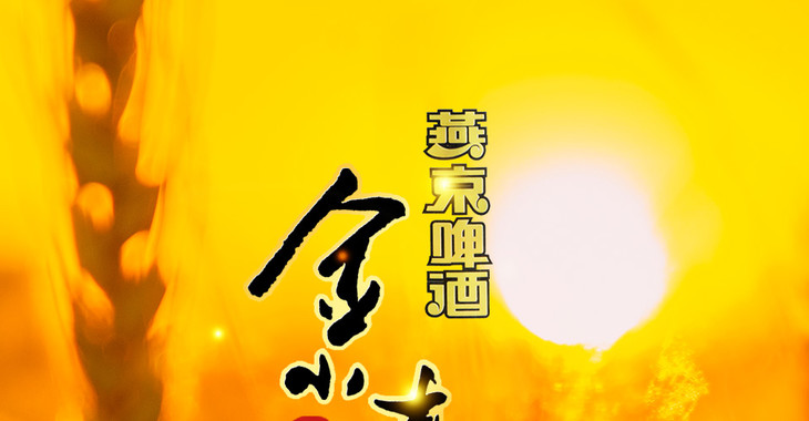【双十一秒杀】燕京啤酒金小麦4件组合装