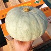 【新疆贵族板栗南瓜】约7斤，2头/箱，软糯香甜 商品缩略图3