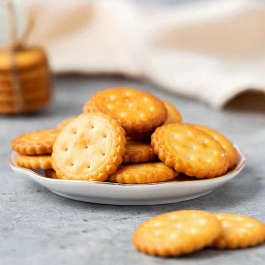 藤野一村网红日式小圆饼 海淡天日盐饼干 商品图1