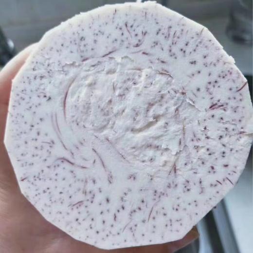 正宗荔浦芋头 4.5-5斤装）收到切片冷冻保存 商品图12