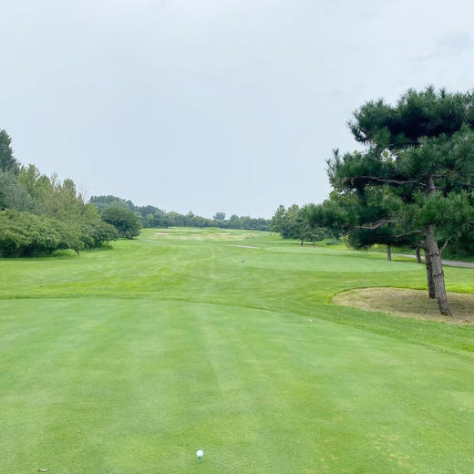 河北唐山南湖国际高尔夫俱乐部 Hebei Tangshan Nanhu Intel. Golf Club|  唐山高尔夫球场 俱乐部 | 河北 | 中国 商品图3