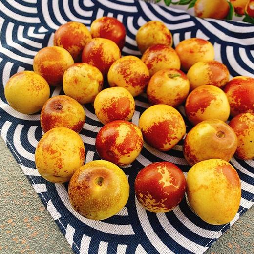 【妙脆牛奶冬枣】3斤装，精品果，绿色食品，出口品质 商品图0