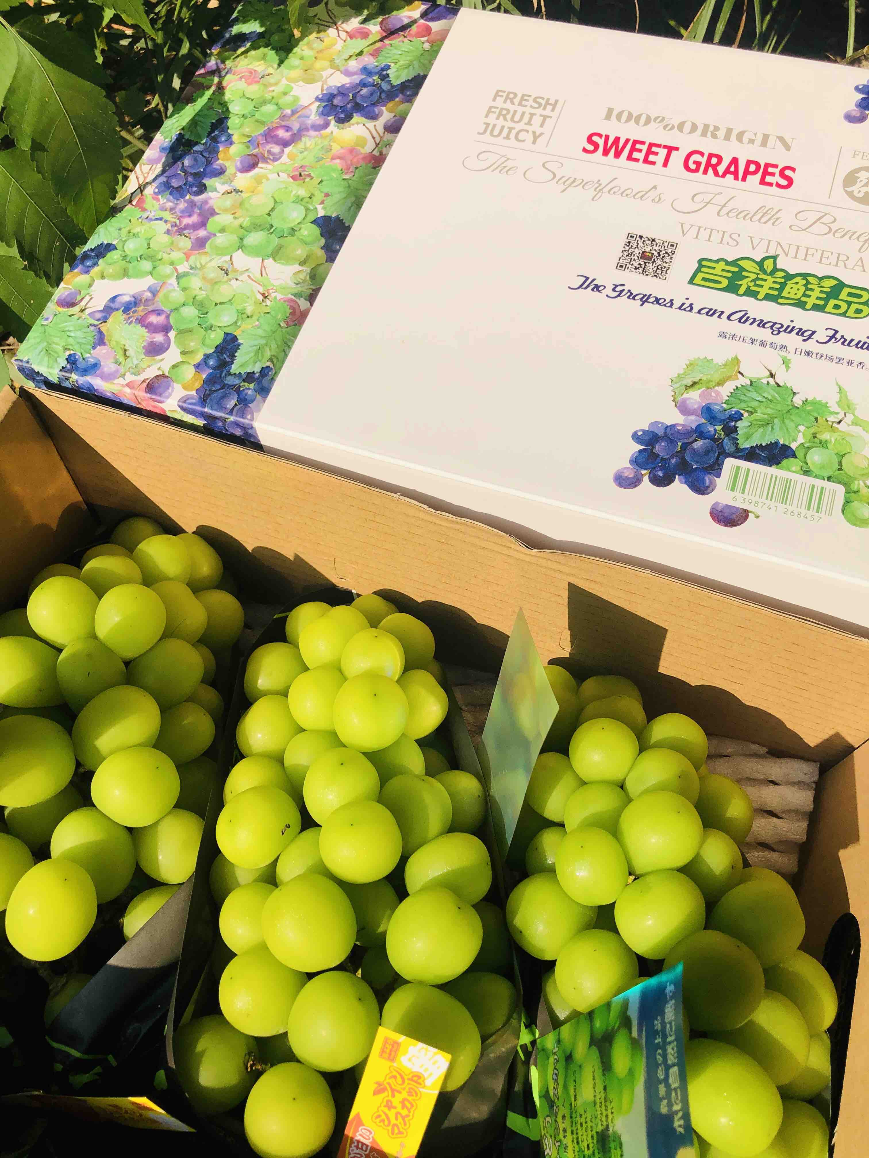 墙裂推荐一款晴王葡萄品质超赞果粒饱满超甜味浓最主要的是价格实惠还