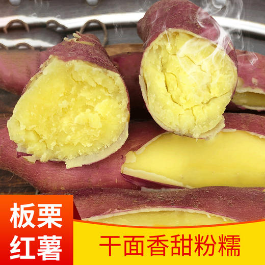 【质农推荐】现挖现发 新鲜板栗粉糯红薯5斤装 商品图2