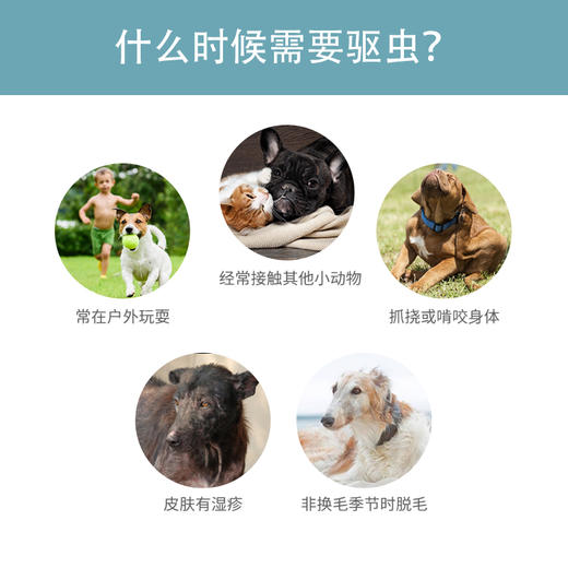 🇪🇸西班牙NBP 犬猫通用 草本精油 商品图2