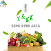 昌西公社生态高山蔬菜家庭组合蔬菜礼包当季时令蔬菜净重4斤体验卡 商品缩略图0
