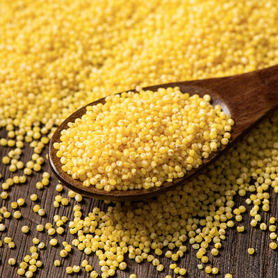 【预售9月10日后到货】马坡金谷小米2.5kg