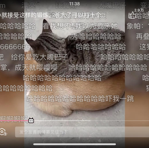 中号的规格明细测试 商品图0