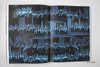 Steve Sabella: Works 1997-2013 史蒂夫·萨贝拉摄 商品缩略图5