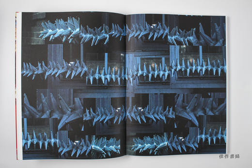 Steve Sabella: Works 1997-2013 史蒂夫·萨贝拉摄 商品图5