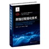 蒸馏过程强化技术(精)/化工过程强化关键技术丛书 商品缩略图0
