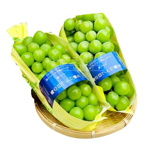 香印青提 阳光玫瑰葡萄