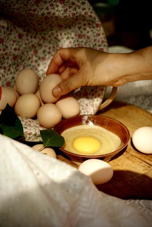 安叶家自产土鸡蛋30枚 商品图4