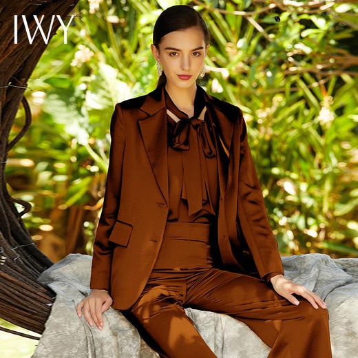 IWY/香槟色焦茶色长袖西装阔腿长裤套装203018C1+P2 商品图2
