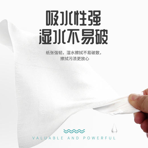 【植护无芯卷纸14卷提装】卫生纸生活居家日用擦手纸 商品图2