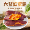 正宗福建六鳌红薯 新鲜现挖香甜沙地蜜番薯红苕地瓜 3斤/5斤/9斤装 商品缩略图0