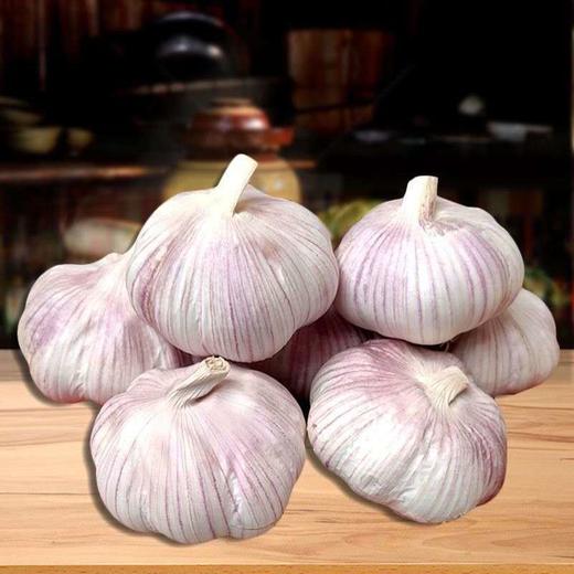 河南中牟紫皮大蒜农产品精选干蒜头批发蒜头干蒜3斤5斤十斤