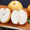 正宗山东秋月梨 肉脆多汁   4.5-7斤装 商品缩略图11