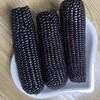 新货【山西静乐黑玉米】软糯香甜，营养丰富， 富含较多花青素！水煮口感更黏香，吃起来似杂粮、又似蔬菜，还能尝出水果的清香 商品缩略图3
