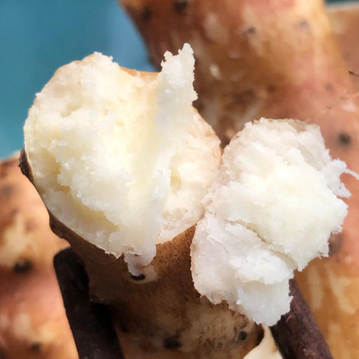 【河北·保定】粉糯铁棍山药   5斤装（长度:40-50cm）气柱袋装 铁杆山药 商品图5