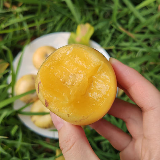 【云南·石林】新下黄肉清甜圆人参果 树上熟人参果 新鲜当季水果 商品图6
