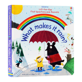 儿童问与答 雨水怎样形成 英文原版 Usborne What makes it rain 尤斯伯恩 生活常识互动百科 进口英语趣味翻翻纸板书 英文版