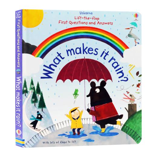 儿童问与答 雨水怎样形成 英文原版 Usborne What makes it rain 尤斯伯恩 生活常识互动百科 进口英语趣味翻翻纸板书 英文版 商品图0