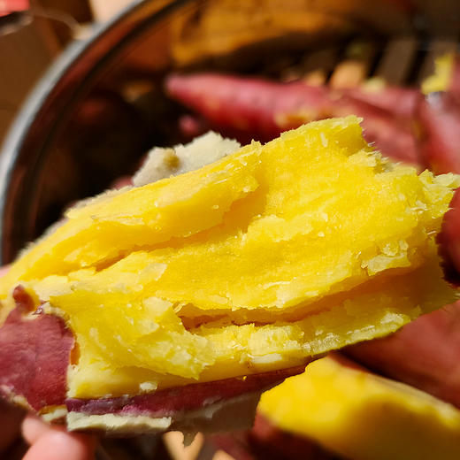 【陕西·临潼】2024新果 板栗蜜薯 蒸红薯 5斤/9斤装  新鲜甜糯红薯地瓜包邮 商品图3