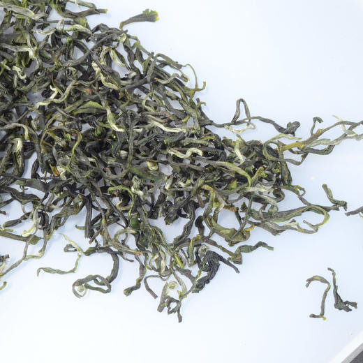 【武汉-新洲】江城百臻腾云山绿茶袋装茶叶250g 商品图3
