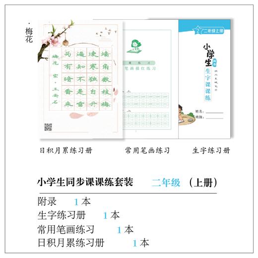 小学生 1 - 6 年级(上册) 课课练套装-LT 商品图6
