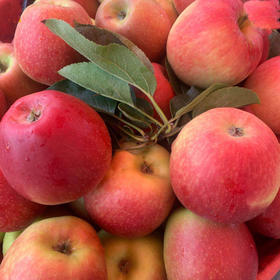 大理剑川  马登苹果 2.5kg /箱 4.5kg/箱  (任选）果粒直径约70mm——80mm.