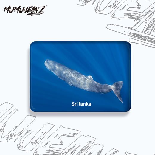 【周边】鲸鱼水晶玻璃磁性冰箱贴系列二 商品图1