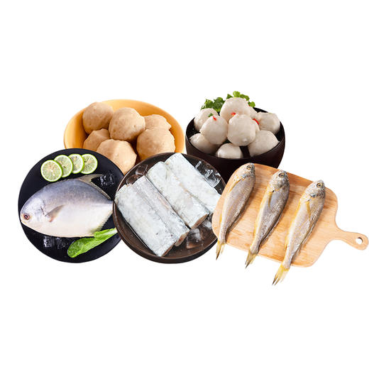 晶品元 海鲜冻品组合108型