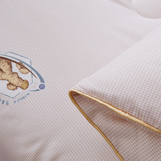 惠慈家居 生姜祛寒被 含生姜精华 冬天不惧严寒 羽丝棉被 3kg（200*230cm）2028-6 商品图4