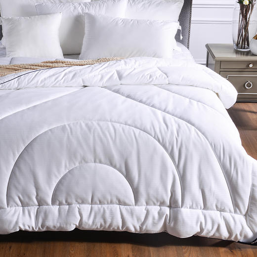 多喜爱 第二代德克抗菌分区保暖冬被 cs 商品图2