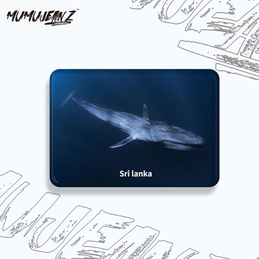 【周边】鲸鱼水晶玻璃磁性冰箱贴系列二 商品图4
