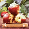 【出口级牛奶妙脆冬枣】2斤/4斤，酥脆香甜 商品缩略图3