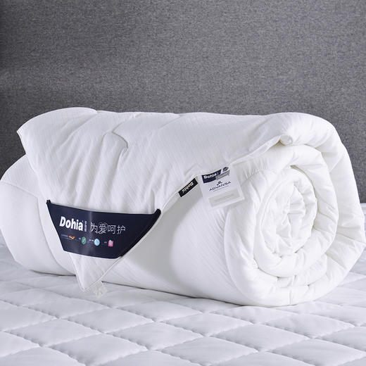多喜爱 第二代德克抗菌舒柔被 cs 商品图2