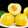【新疆黄金恐龙蛋】约4斤/筐，皮薄肉厚，清香甘甜 商品缩略图3
