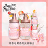 日本 Amino mason 氨基研清爽控油洗发水&护发素樱花特惠装（4件套） 商品缩略图3