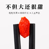 雪山红有机冻干枸杞子 特级优 免洗枸杞茶 商品缩略图1