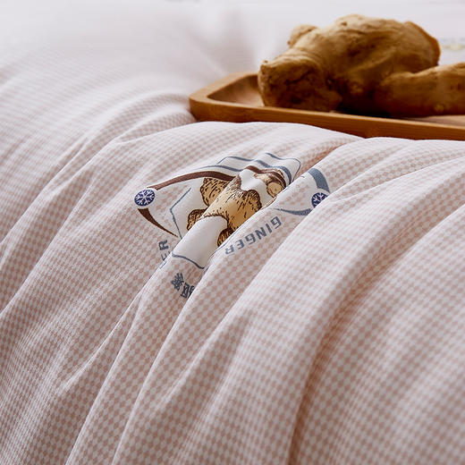 惠慈家居 生姜祛寒被 含生姜精华 冬天不惧严寒 羽丝棉被 3kg（200*230cm）2028-6 商品图3