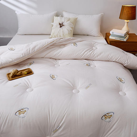 惠慈家居 生姜祛寒被 含生姜精华 冬天不惧严寒 羽丝棉被 3kg（200*230cm）2028-6 商品图5