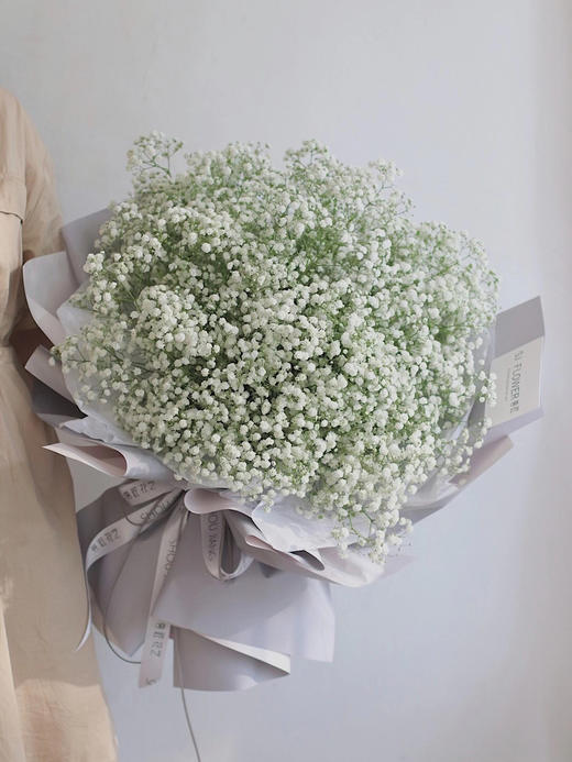 满天星【我携满天星辰以赠你，仍觉满天星辰不及你】简小姐精选A级多色满天星 500g 2束包邮 24小时发货 商品图2